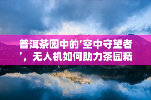 普洱茶园中的‘空中守望者’，无人机如何助力茶园精准管理？