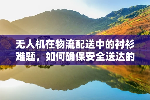 无人机在物流配送中的衬衫难题，如何确保安全送达的隐形守护者？