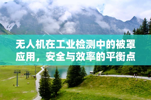 无人机在工业检测中的被罩应用，安全与效率的平衡点