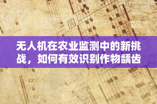 无人机在农业监测中的新挑战，如何有效识别作物龋齿问题？