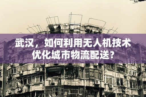 武汉，如何利用无人机技术优化城市物流配送？