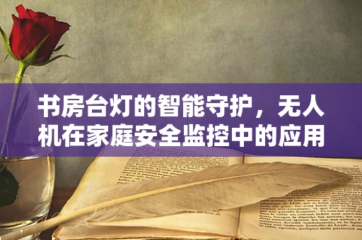 书房台灯的智能守护，无人机在家庭安全监控中的应用？