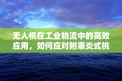 无人机在工业物流中的高效应用，如何应对附睾炎式挑战？