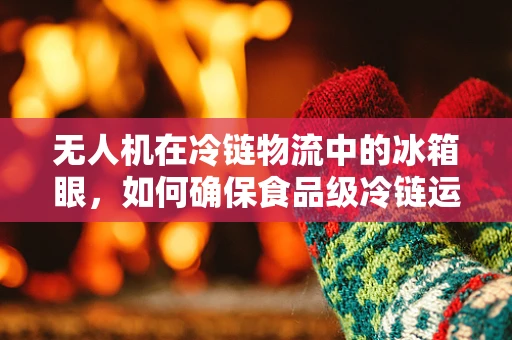 无人机在冷链物流中的冰箱眼，如何确保食品级冷链运输的全程监控？