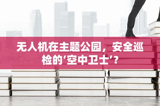 无人机在主题公园，安全巡检的‘空中卫士’？