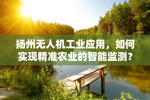 扬州无人机工业应用，如何实现精准农业的智能监测？