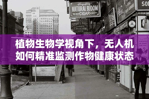 植物生物学视角下，无人机如何精准监测作物健康状态？