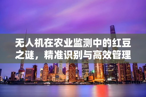 无人机在农业监测中的红豆之谜，精准识别与高效管理的挑战
