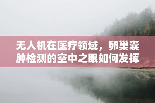 无人机在医疗领域，卵巢囊肿检测的空中之眼如何发挥作用？