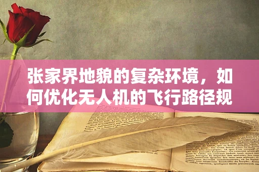 张家界地貌的复杂环境，如何优化无人机的飞行路径规划？