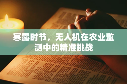 寒露时节，无人机在农业监测中的精准挑战