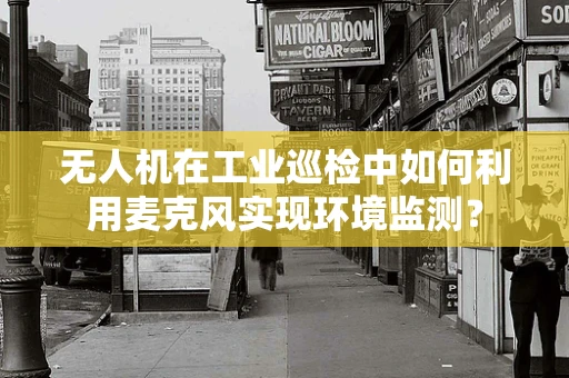 无人机在工业巡检中如何利用麦克风实现环境监测？