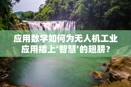 应用数学如何为无人机工业应用插上‘智慧’的翅膀？