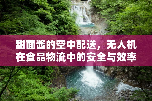 甜面酱的空中配送，无人机在食品物流中的安全与效率挑战