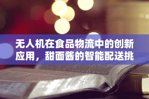 无人机在食品物流中的创新应用，甜面酱的智能配送挑战