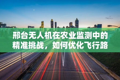 邢台无人机在农业监测中的精准挑战，如何优化飞行路径以减少作物损害？