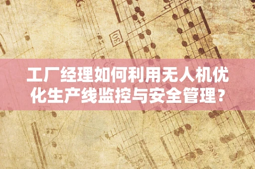 工厂经理如何利用无人机优化生产线监控与安全管理？
