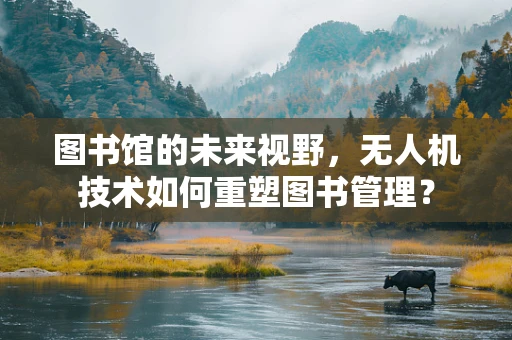 图书馆的未来视野，无人机技术如何重塑图书管理？