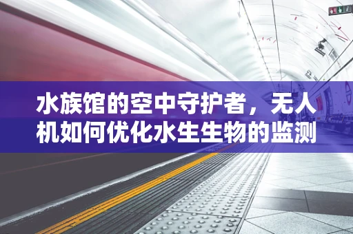 水族馆的空中守护者，无人机如何优化水生生物的监测？