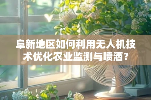 阜新地区如何利用无人机技术优化农业监测与喷洒？