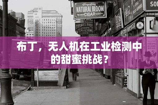 布丁，无人机在工业检测中的甜蜜挑战？