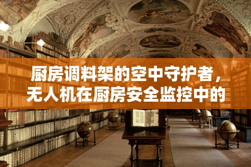 厨房调料架的空中守护者，无人机在厨房安全监控中的应用挑战？
