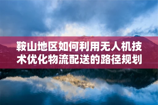 鞍山地区如何利用无人机技术优化物流配送的路径规划？