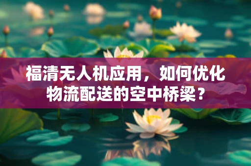 福清无人机应用，如何优化物流配送的空中桥梁？