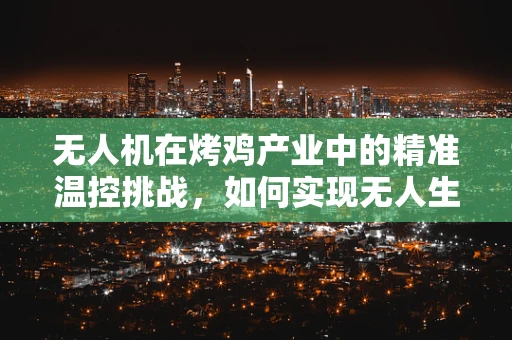无人机在烤鸡产业中的精准温控挑战，如何实现无人生火，美味依旧？