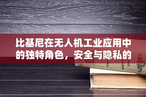 比基尼在无人机工业应用中的独特角色，安全与隐私的微妙平衡