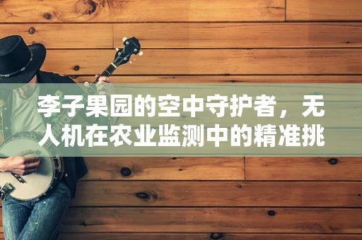 李子果园的空中守护者，无人机在农业监测中的精准挑战