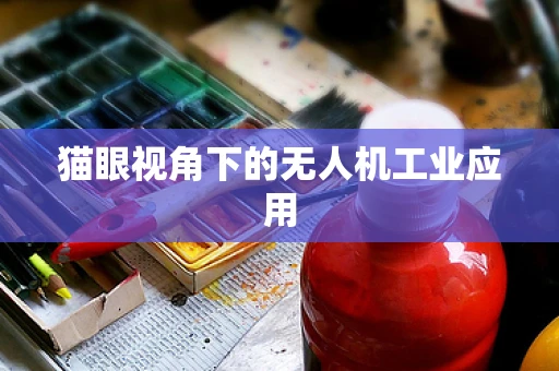 猫眼视角下的无人机工业应用