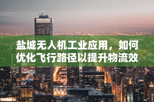 盐城无人机工业应用，如何优化飞行路径以提升物流效率？