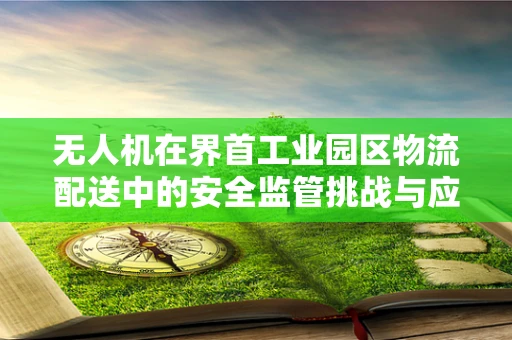 无人机在界首工业园区物流配送中的安全监管挑战与应对策略