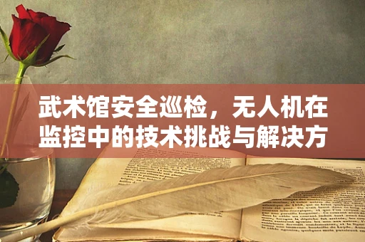 武术馆安全巡检，无人机在监控中的技术挑战与解决方案