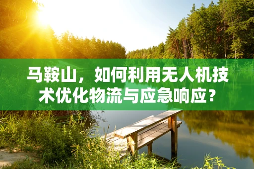 马鞍山，如何利用无人机技术优化物流与应急响应？