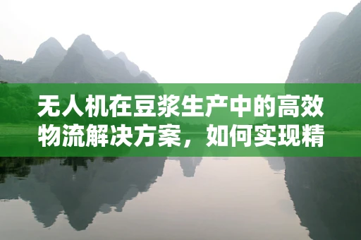 无人机在豆浆生产中的高效物流解决方案，如何实现精准配送与监控？