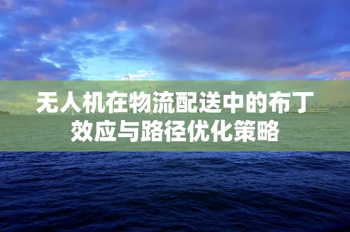 无人机在物流配送中的布丁效应与路径优化策略