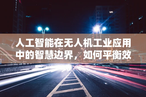 人工智能在无人机工业应用中的智慧边界，如何平衡效率与安全？