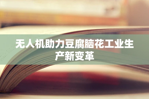 无人机助力豆腐脑花工业生产新变革