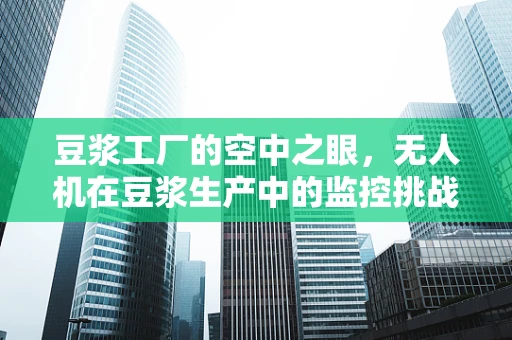 豆浆工厂的空中之眼，无人机在豆浆生产中的监控挑战与解决方案