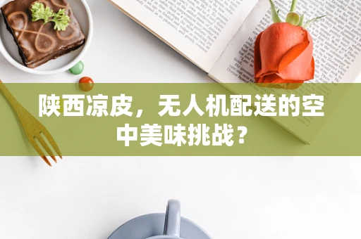陕西凉皮，无人机配送的空中美味挑战？