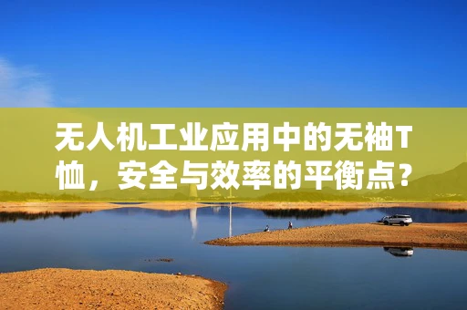 无人机工业应用中的无袖T恤，安全与效率的平衡点？