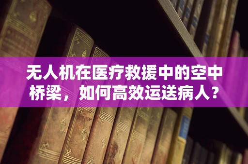 无人机在医疗救援中的空中桥梁，如何高效运送病人？