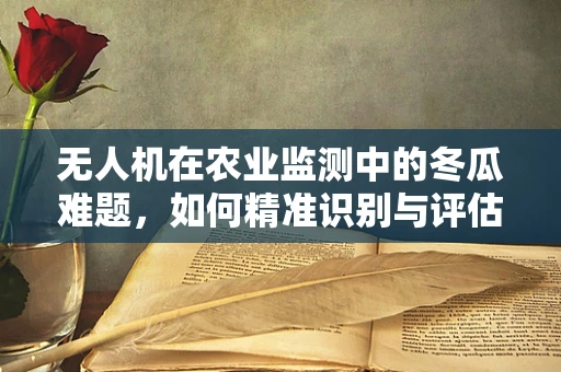 无人机在农业监测中的冬瓜难题，如何精准识别与评估？