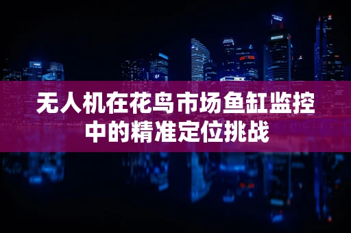 无人机在花鸟市场鱼缸监控中的精准定位挑战