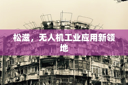 松滋，无人机工业应用新领地