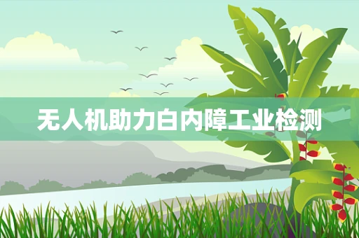 无人机助力白内障工业检测