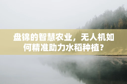盘锦的智慧农业，无人机如何精准助力水稻种植？