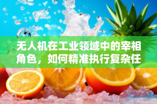 无人机在工业领域中的宰相角色，如何精准执行复杂任务？